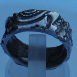 Ring 1